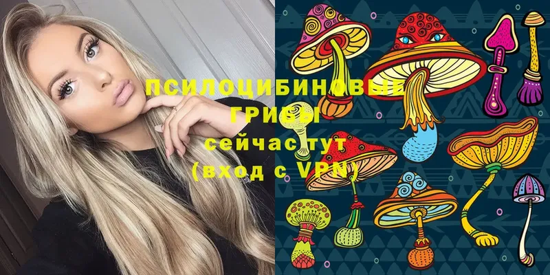 OMG как зайти  Салехард  Галлюциногенные грибы Cubensis 